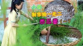 娱乐吃瓜酱阳光,揭秘娱乐圈的甜蜜与阳光