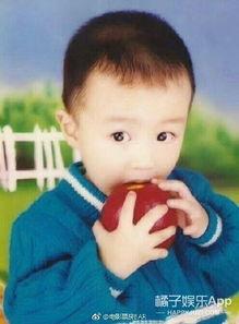 娱乐吃瓜君和刘二豆,揭秘娱乐圈背后的趣味故事