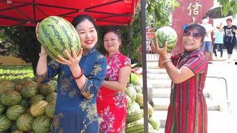 娱乐吃瓜吃不停