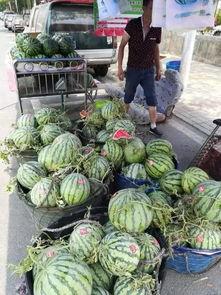 贵阳娱乐吃瓜事件真相是真的吗