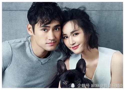 圈内爆料娱乐圈吃瓜,吃瓜群众背后的真相大起底