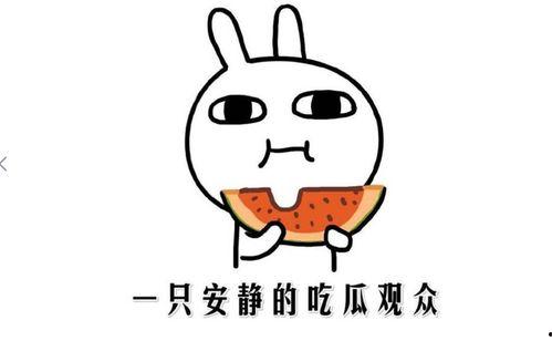 吃瓜是什么意思啊内涵,网络热词背后的社会现象与心理洞察